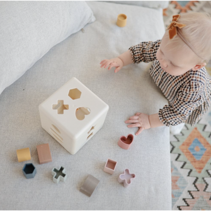 Shape Sorting Box - Formelių rūšiavimo dėžutė 2 Shape Sorting Box - Formelių rūšiavimo dėžutė 2